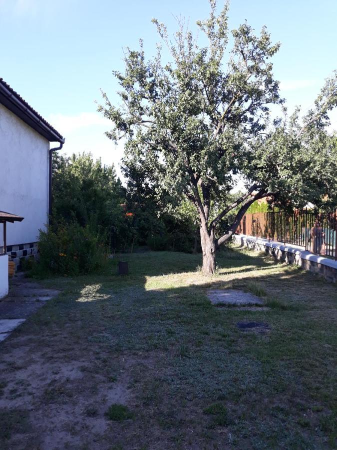 Retrovilla Balatonkenese Bagian luar foto